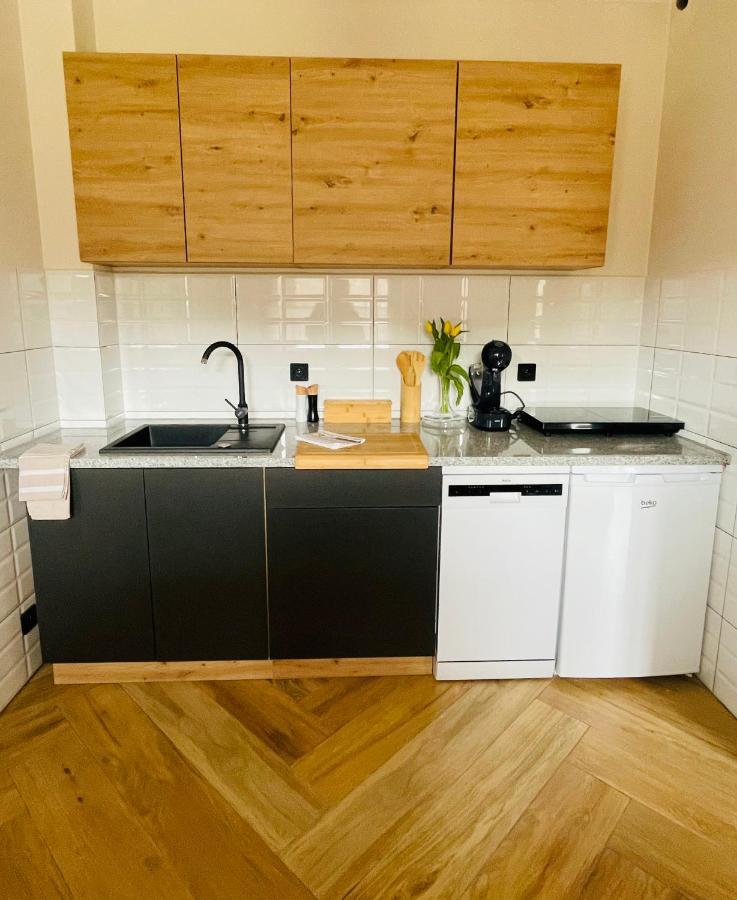Gorska Cisza - Duzy, Komfortowy, Wyjatkowy Apartament Строне-Шльонське Екстер'єр фото