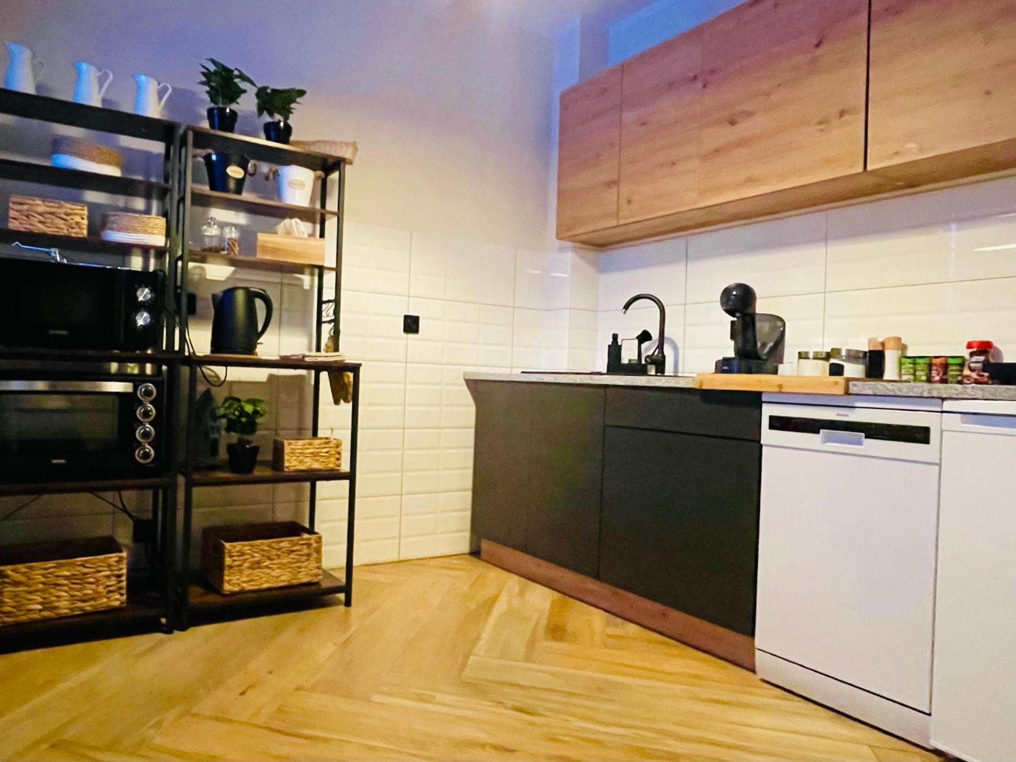 Gorska Cisza - Duzy, Komfortowy, Wyjatkowy Apartament Строне-Шльонське Екстер'єр фото