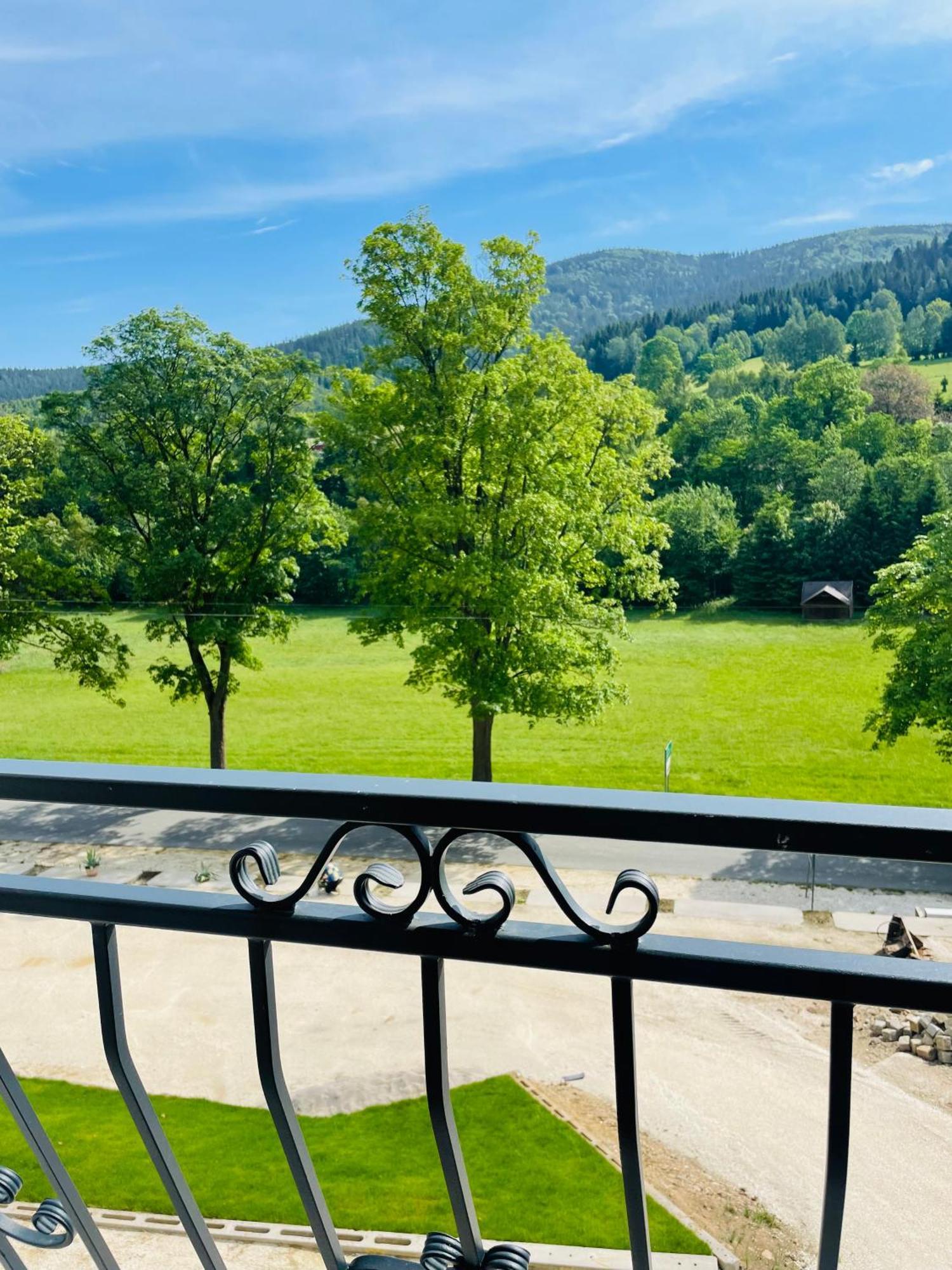 Gorska Cisza - Duzy, Komfortowy, Wyjatkowy Apartament Строне-Шльонське Екстер'єр фото